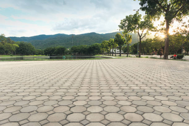 Best Driveway Paving Contractor  in Solomon, KS